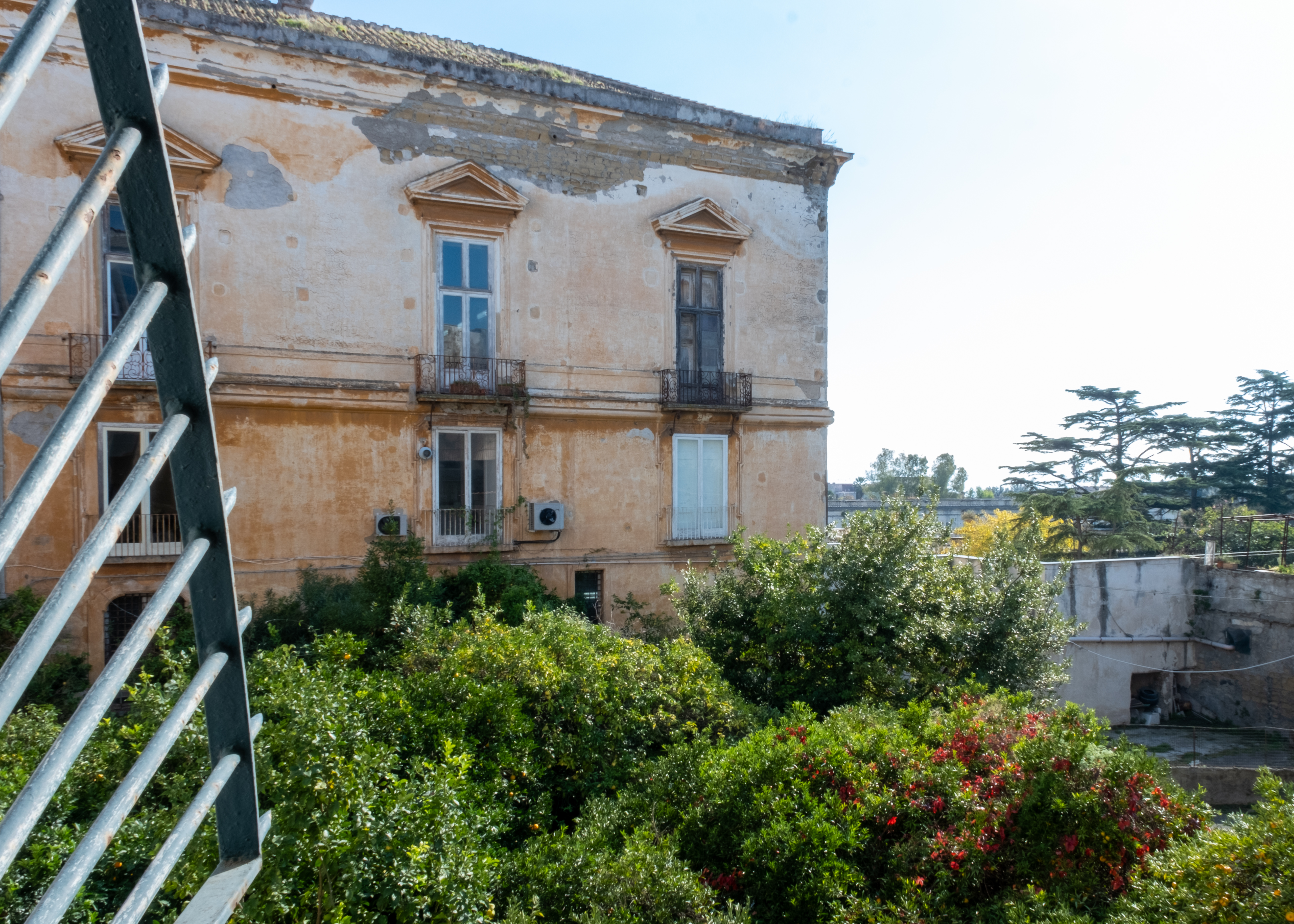 Palazzo - Foto 3